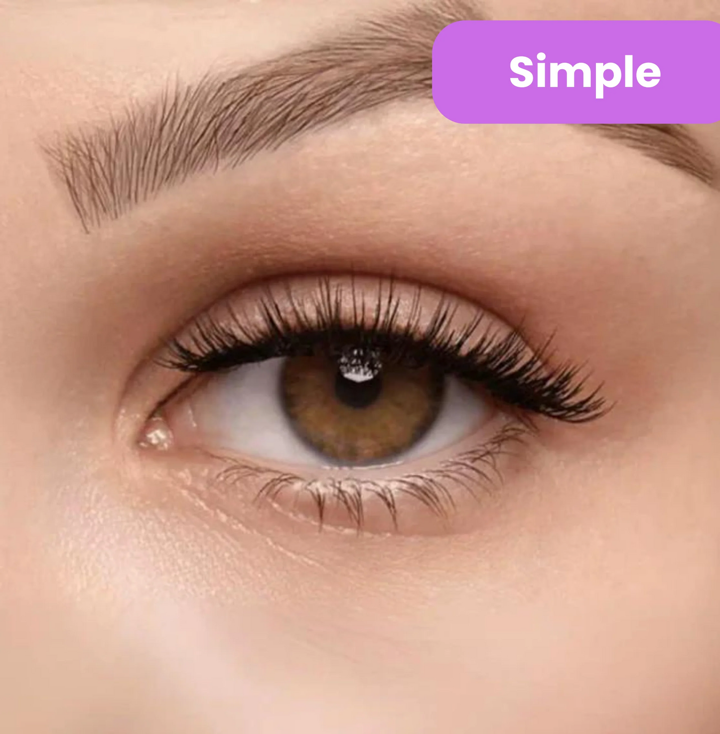 Soft Magnetic Eyelashes All-in-One Box, Reusable